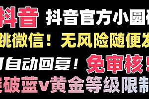 抖音二维码直跳微信技术!站内随便发不违规!!
