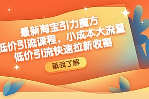 最新淘宝引力魔方低价引流实操:小成本大流量