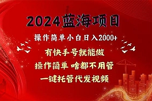 2024蓝海项目,网盘拉新,操作简单小白日入2000+,一键托管代发视频,…