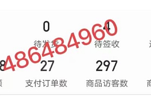 拼多多虚拟开店打卡群:新手到入门到精通