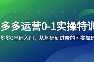 拼多多-运营0-1实操训练营,拼多多0基础入门,从基础到进阶的可实操玩法