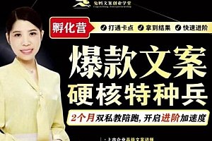 爆款文案硬核特种兵孵化营,实现了每个月2000-30000+的副业增收