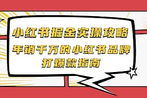 小红书掘金实操攻略,年销千万的小红书品牌打爆款指南