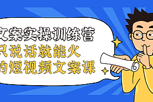 文案实操训练营,只说话就能火的短视频文案课