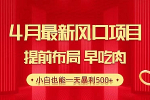 28.4月最新风口项目,提前布局早吃肉,小白也能一天暴利500+