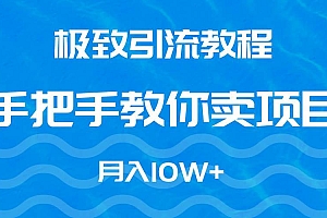 极致引流教程,手把手教你卖项目,月入10W+