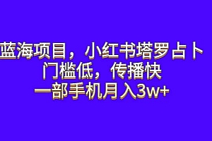 蓝海项目,小红书塔罗占卜,门槛低,传播快,一部手机月入3w+