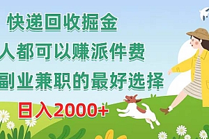 快递回收掘金,人人都可以赚派件费,新人副业兼职的最好选择,日入2000+