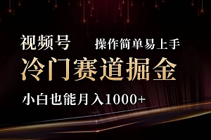 2024视频号冷门赛道掘金,操作简单轻松上手,小白也能月入1000+