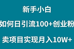 新手小白如何通过卖项目实现月入10W+