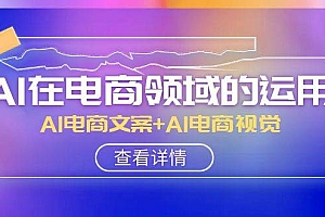AI-在电商领域的运用线上课,AI电商文案+AI电商视觉(14节课)