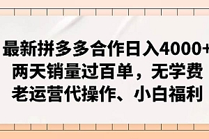 最新拼多多合作日入4000+两天销量过百单,无学费、老运营代操作、小白福利