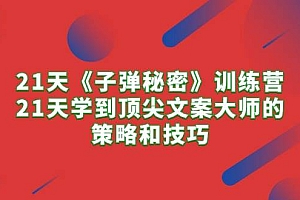 21天《子弹秘密》训练营,21天学到顶尖文案大师的策略和技巧