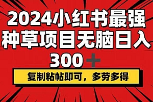 2024小红书最强种草项目,无脑日入300+,复制粘帖即可,多劳多得