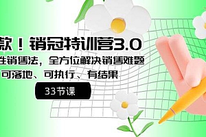 爆款!销冠特训营3.0之顺人性销售法,全方位解决销售难题、可落地、可执行、有结果