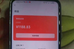 视频号中年粉核心玩法 日收益2000+ 不投流小白轻松上手