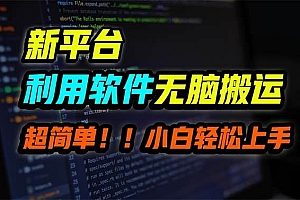 新平台用软件无脑搬运,月赚10000+,小白也能轻松上手