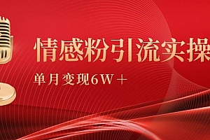 单月变现6w+,情感粉引流变现实操课