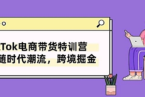 TikTok电商带货特训营,跟随时代潮流,跨境掘金(8节课)