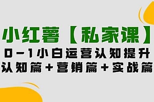 小红薯【私家课】0-1玩赚小红书内容营销,认知篇+营销篇+实战篇(11节课)