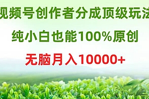 视频号创作者分成顶级玩法,纯小白也能100%原创,无脑月入10000+