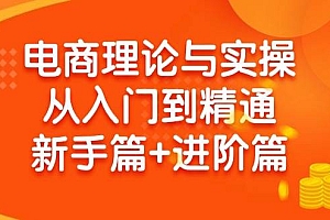 电商理论与实操从入门到精通 新手篇+进阶篇