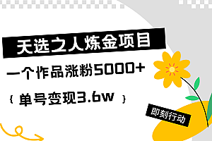 天选之人炼金热门项目,一个作品涨粉5000+,单号变现3.6w