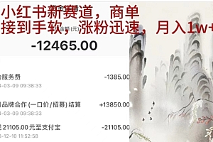 小红书新赛道,商单接到手软,涨粉迅速,一个月1w+