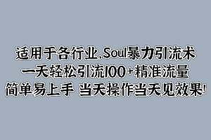 适用于各行业,Soul暴力引流术,一天轻松引流100+精准流量,简单易上手 当天操作当天见效果!