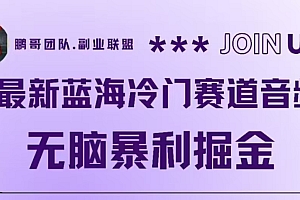 最新蓝海冷门赛道音频,无脑暴利掘金