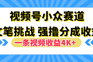 视频号小众赛道,文笔挑战,一条视频收益4K+