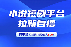 【纯干货】小说短剧平台拉新自撸玩法详解-单人轻松日入500+