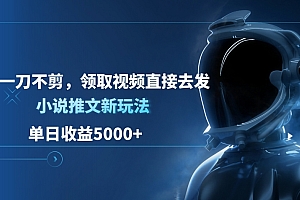 单日收益5000+,小说推文新玩法,一刀不剪,领取视频直接去发