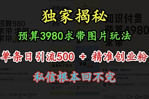 “小红书”预算3980求带 图片玩法,单条日引流500+精准创业粉,私信根本回不完