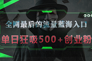 全网最后的流量蓝海入口,半小时引流50+创业粉,单日狂吸500+创业粉