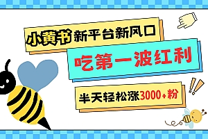 网易版小红书重磅来袭,新平台新风口,管理宽松,半天轻松涨3000粉,第一波红利等你来吃
