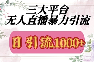 抖音,快手,视频号全平台通用,无人直播引流法,利用图片,模板,整套话术挂机全天支持矩阵操作,无限设备多开,超暴力引流,1000+高质量精准创业粉