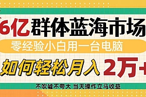 6亿群体蓝海市场,零经验小白用一台电脑,如何轻松月入2万+