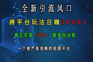 全新引流风口,跨平台玩法日赚3000+,单日狂揽200+精准创业粉,一个被严重忽略的视频平台