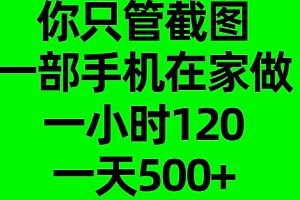 你只管截图,一部手机在家做,一小时120,一天500+