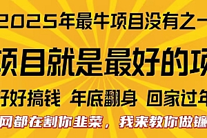 全网都在割你韭菜,我来教你做镰刀。卖项目就是最好的项目,2025年最牛互联网项目