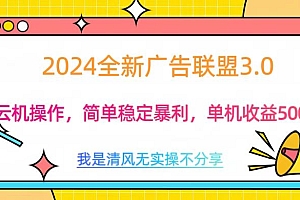 3.0最新广告联盟玩法,单机收益500+