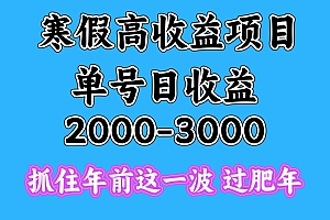 寒假期间一天收益2000-3000+,抓住年前这一波