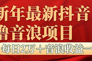 抖音音浪掘金项目每日2万+音浪高收益1000+