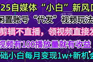 2025每月躺赚5w+新机会,闲置视频账号一键代发玩法,0粉不实名不剪辑,领了视频直接发,0基础小白也能日入300+