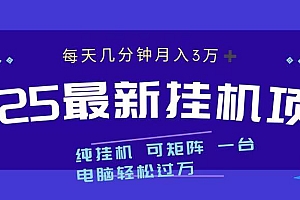 2025最新纯挂机项目 每天几分钟 月入3万➕ 可矩阵