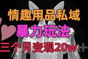 情趣用品私域,25年最新暴力玩法,三个月变现20w➕