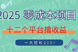 2025年零成本项目,十二个平台撸收益,单号一天轻松200+