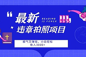 最新违章拍照项目,解气又赚钱,随手一拍,轻松收入3000