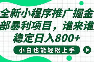 全新小程序推广掘金,内部暴利项目,小白轻松上手,稳定日入800+